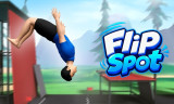 Flip Spot background
