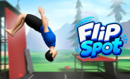 img Flip Spot