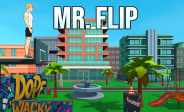 img Mr Flip
