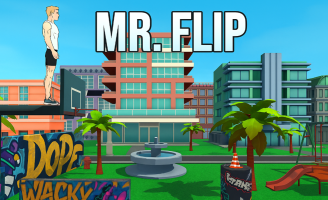 img Mr Flip