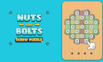 Nuts And Bolts Screw Puzzle